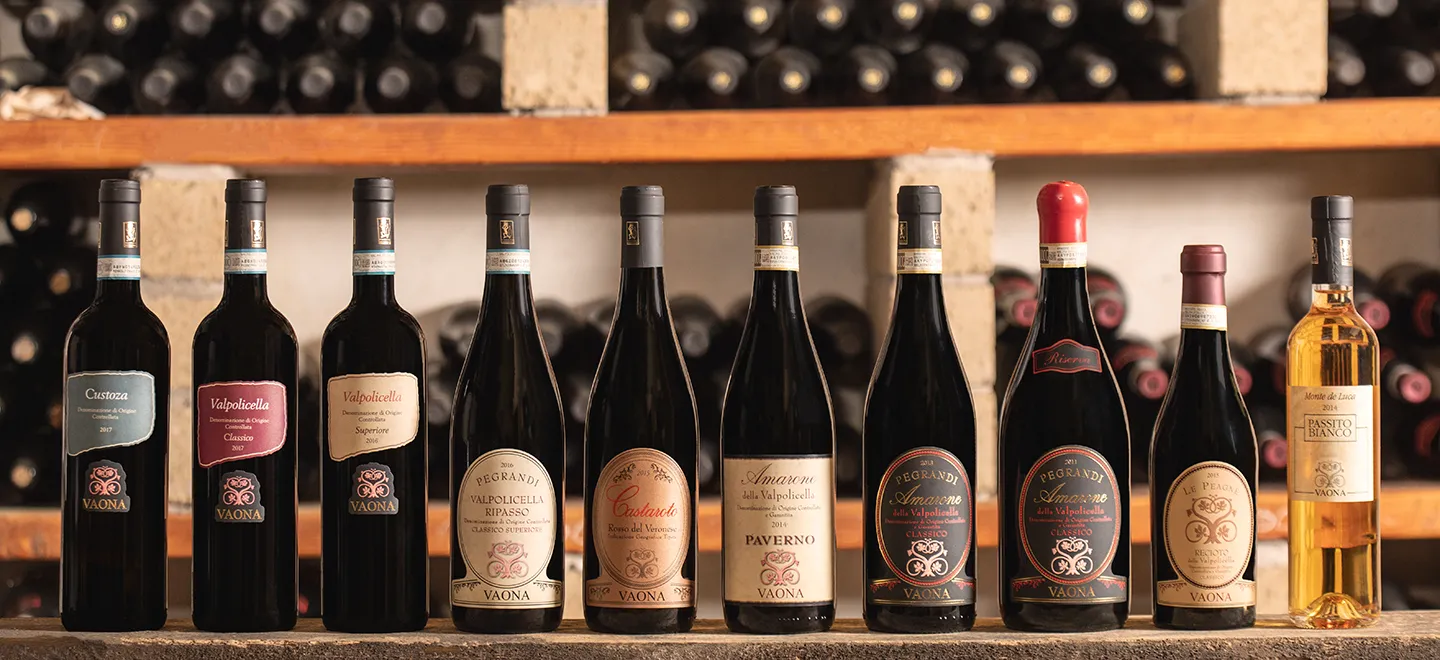 Vintage wine cellar in Veneto