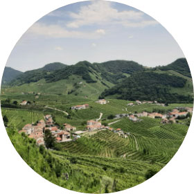 Scenic landscapes of Veneto with hills and vineyards